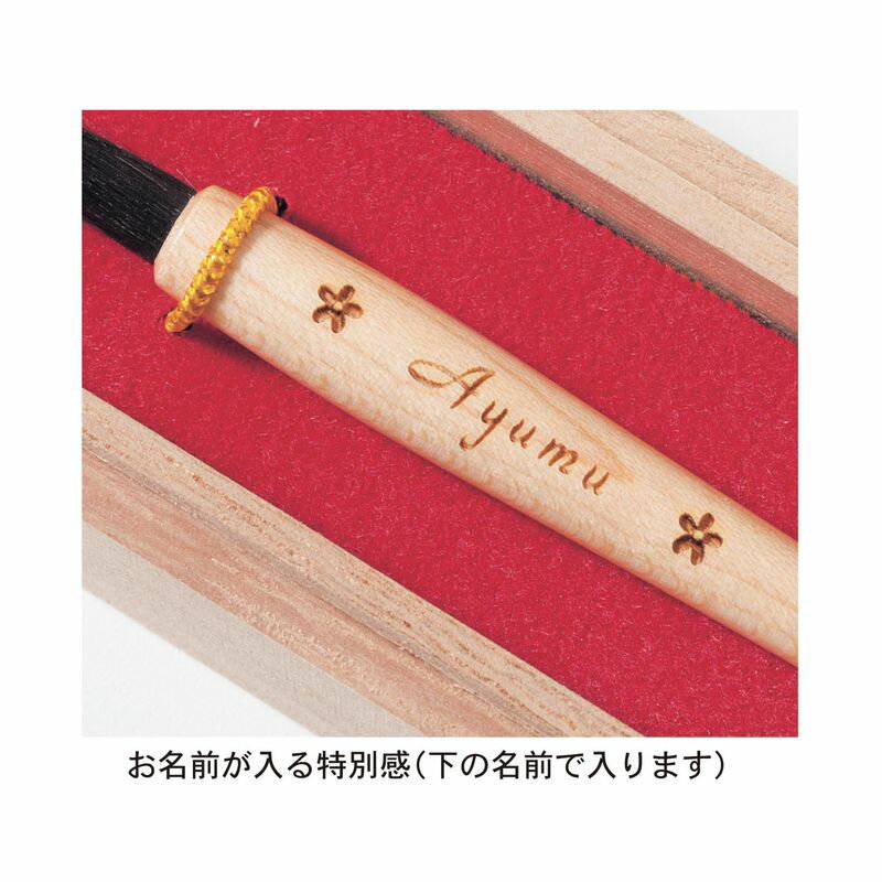 ディズニーミニ胎毛筆・お仕立て券メモリーカード無し