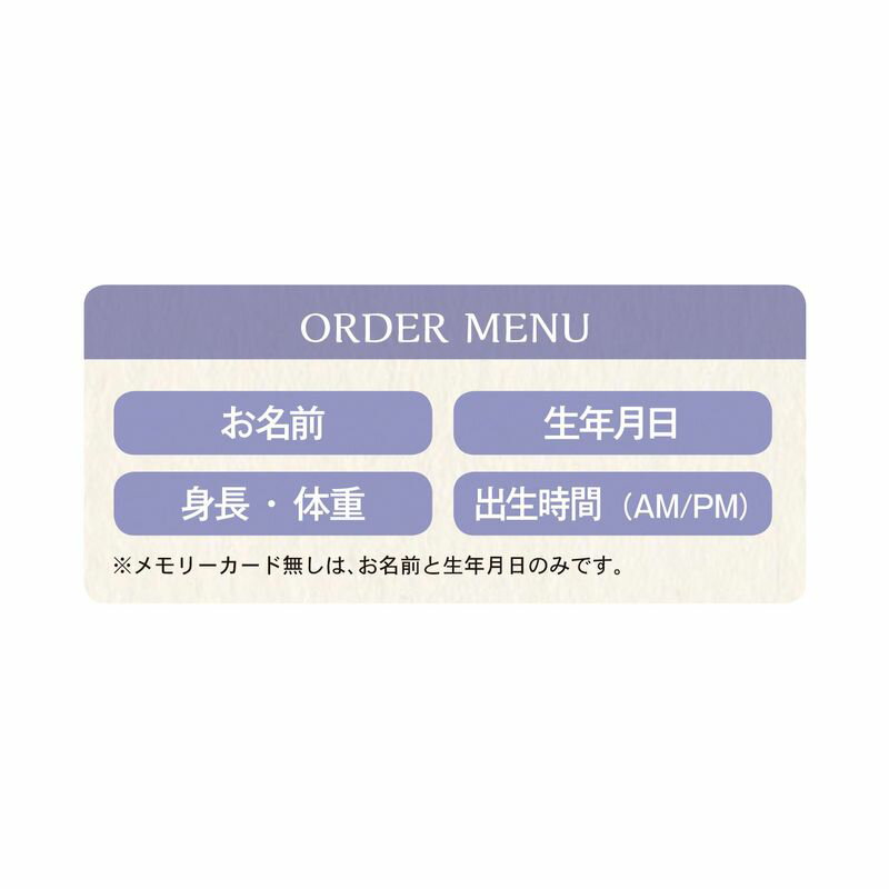 ディズニーミニ胎毛筆・お仕立て券メモリーカード無し