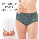 【ベルメゾン】 綿混レーシーボックスショーツ(はきこみ・ふつう丈) ◆ M L LL ◆ ◇ レディース インナー 下着 ショーツ ボックスショーツ 綿混 レー...