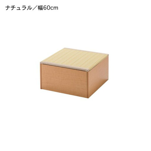 フリーボックス 小物収納ケース ~ 樹脂畳ユニットボックス ロータイプ ダークブラウン ◆120◆ 