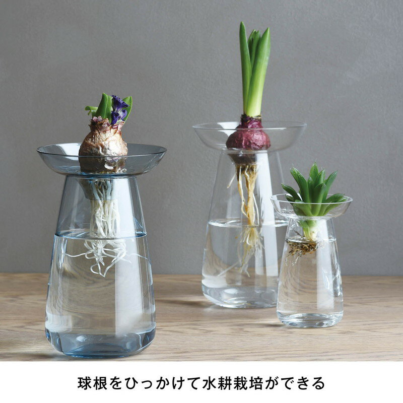 水耕栽培が愉しめる花器 AQUA CULTURE VASE 「クリア」◆L(サイズ)◆ 