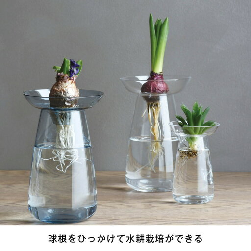 水耕栽培が愉しめる花器 AQUA CULTURE VASE 「クリア」◆L(サイズ)◆ 