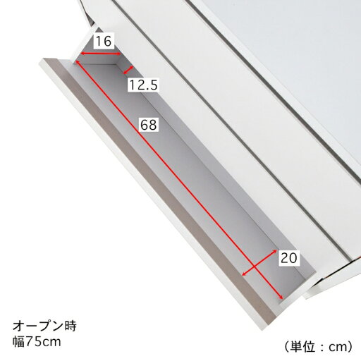 フラップ扉の薄型サニタリーラック ◆ 60 ◆ 