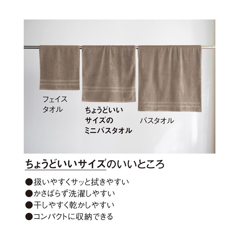 ミニバスタオル まいにちタオル タオル 同色 2枚セット 