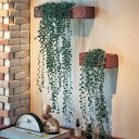 ベルメゾン 壁飾りとしても置いても飾れる消臭フェイクグリーン 「 小 」◇ インテリア フェイクグリーン 観葉植物 フェイク イミテーショングリーン 人工植物 ◇