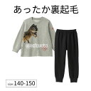 【ポイント5倍! 4/21 09:59迄】シュライヒ ジュニア あったか 綿 裏起毛 リアル恐竜 プリント パジャマ ◆ 140 150 ◆ ◇ 秋 冬 春 暖...