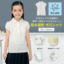  子供 制服 ドライ ガールズ 半袖 ポロシャツ （単品）◆90-130◆ ◇ 子ども 子供 キッズ トップス 通園 通学 制服 スクールポロシャツ 小学校 小学生 通学 通園 保育園 幼稚園 着 通学 制服 入園 入学