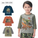 【ベルメゾン】 子供服 シュライヒ Schleich リアル 恐竜 プリント 七分袖 Tシャツ ◆ 100-130 ◆◇ 子ども 子供 キッズ KIDS 子ども服 キッズ服 服 トップス Tシャツ カットソー ◇