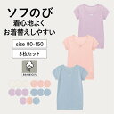 【ベルメゾン】 子供肌着 ソフのび 半袖 インナー 女の子 Tシャツ 3枚セット ◆ 80 90 100 110 120 130 ◆ ◇ 子ども 子供 キッズ 肌着 下着 キッズインナー 半袖 シャツ 綿素材 通園 通学 保育園 幼稚園 小学生 ジータ GITA