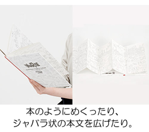 マルアイ　NuRIEbook（ヌーリエブック）KYORYU ZUKAN（恐竜図鑑）【NU-BK1】1冊（表10ページ・裏9ページ）W193×H268×D9mm（ぬりえ部分サイズ：1,820×257mm）NURIE/ぬりえ/AR飛び出すぬりえ【メール便1通につき2冊まで対応可能】