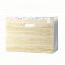 ぽい分けボックスファイル 13ポケット アイボリー【LV-6276-I】商品サイズ:350×255×14mm 13ポケット A4クリアファイルサイズ対応 仕切り...