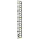 左手用 メタクリル直線定規 18cm【HSS181L】名前シール付 ベルマーク連動参加商品 学校文具 クツワ KUTSUWA【メール便対応可能】