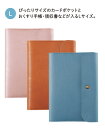 ホスピタルポーチL 5カードポケット A-7206 縦185×横135×厚さ12mm 最大収容サイズ メインポケット(2ヶ所): 175×105mm カードポケ...