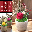 遅れてごめんね!敬老の日 ギフトプリザーブドフラワー 和風