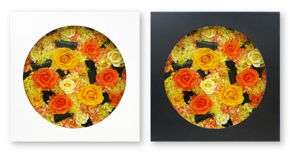 �ץꥶ���֥ɥե� ���ե� �ե졼�� �ɳݤ� ������ �� �ץ쥼��� �֥ꥶ���֥� OPEN frm �ץ쥼��� ���� ��Ź ���� �࿦ ��ư ��ˤ� ˡ�� ��Ǥ�ˤ� �͵� ����������ǽ ̾���� ʸ������ �в�1���� ���С��ե졼��40