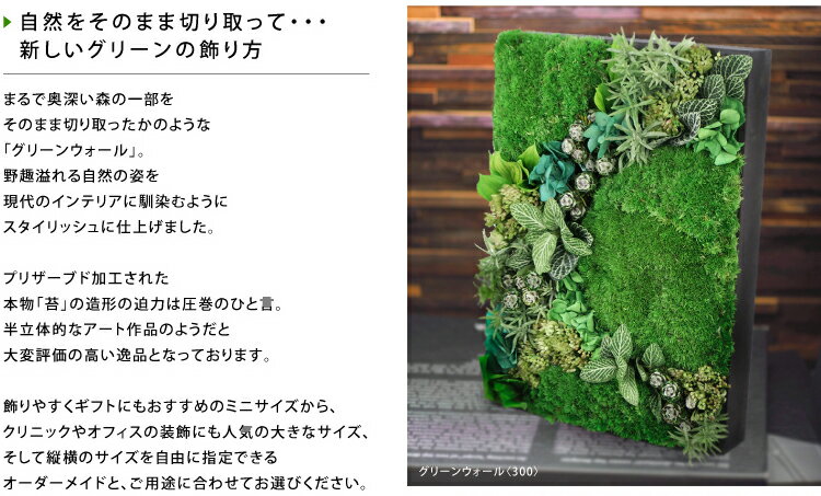 �ץꥶ���֥ɥե� ���ե� �ˤ� �� �ߺ� ������ �࿦�ˤ� ���� ���� �� �ץ쥼��� ����ƥꥢ �ɳݤ� ����� ������ �뺧�ˤ� ���� ��Ź ���� ��ˤ� ��Ǥ�ˤ� ˡ�� ���ե��� OPEN �в�5���� ���꡼�󥦥������500��