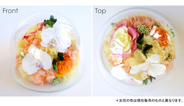 母の日 プレゼント 花 プリザーブドフラワー #胡蝶蘭のガラスドーム〈2L〉（リニューアル） 送料無料 花 ギフト プレゼント 敬老 誕生日 結婚 両親贈呈 出産 開業 開店 新築 退職 異動 内祝い 歓送迎★仏花 お悔やみ お盆 お彼岸 ドーム ケース入り