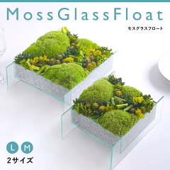 https://thumbnail.image.rakuten.co.jp/@0_mall/belles-fleurs/cabinet/mgf/22mossg_1.jpg