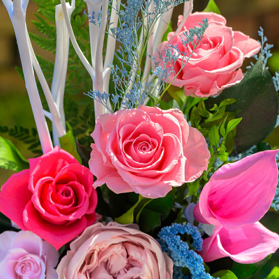 �ڿ��աۥץꥶ���֥ɥե� �٥�ե롼�� �� ����� ����ץ� �������㥹 ���� ���� ���ե� �ץ쥼��� ���սˤ� ���Ƚˤ� ��Ź�ˤ� ���۽ˤ� ���ե��ե� ����£�� ��ˤ� ������ �������� ʡ ʡ�� ���� ��ǯ�Τ����� ��ǯ�ˤ� ���꡼��ԥ󥯥��ե�����