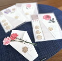belleseve:10017671のサンプル画像1