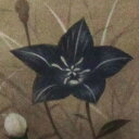 猪飼 正 額付き銅版画(メゾチント) 「桔梗」 1992年