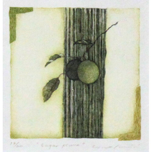 岩切裕子　木版画　『Sugar prune』（2006年）　シートのみ
