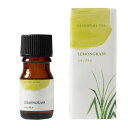 ̖؁@A}@GbZVIC@OX (LEMONGRASS)@5ml