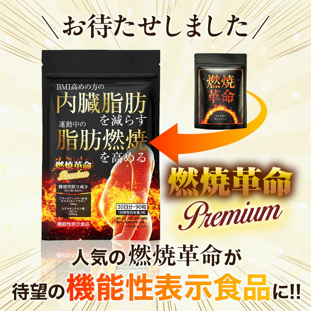 【機能性表示食品】 内臓脂肪を減らす 脂肪燃焼を高める 燃焼革命Premium 90日分(30日分×3個セット) ダイエット サポート 機能性表示食品 ブラックジンジャー HCA ガルシニア リポ酸 カルニチン アフリカマンゴノキ カプサイシン 30日分 送料無料 ギフト 【日本製】