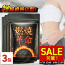 \SALE開催!4/14 20:00〜4/18 23:59/【公式】 超燃焼特化型 燃焼革命 90日分(30日分×3個セット) ダイエット サプリ ダイエットサ...