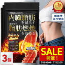 \SALE開催!7/13〜7/15/【機能性表示食品】 内臓脂肪を減らす 脂肪燃焼を高める 燃焼革命Premium 90日分(30日分×3個セット) ダイエット...