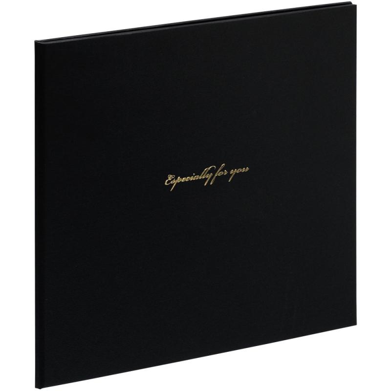 ナカバヤシ ファイル Vカットマット写真台紙 2L判2面 スクエアタイプ ブラック VM2L-301-D