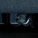 ペティオ (Petio) 猫用首輪 フラッシュソフトキャットカラー ピンク