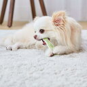ペティオ (Petio) 犬用おもちゃ かんでるボーン デンタル SS ソフト(4)