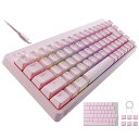 エレコム ゲーミングキーボード V-custom VK300S 有線 RGB テンキーレス 65%サイズ メカニカル ネオクラッチキーキャップ 銀軸 スピードリ...