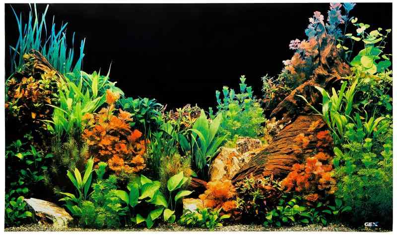 ジェックス GX-11 バックスクリーン60cm水槽用 (写真付黒地)×5個セット