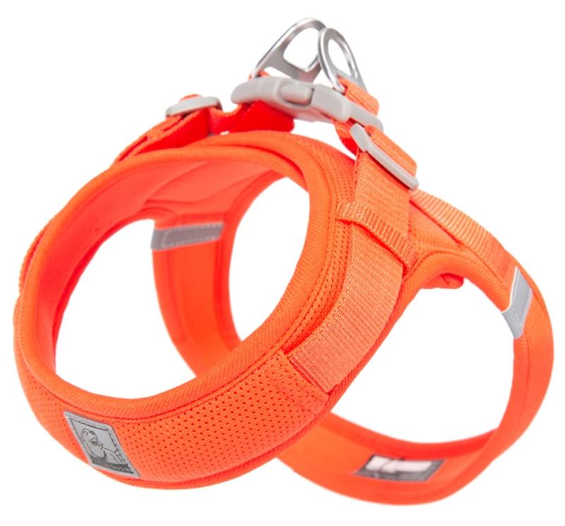 cocomall 喉に優しい犬ハーネス 2023最新 TRUE LOVE 犬用ハーネス 犬用胴輪 ドッグ ペット用品 ハーネスリード 3M反射材料 訓練 ナイロン製 超型犬、小型犬、中型犬に向け 通気性 調節のサムネイル