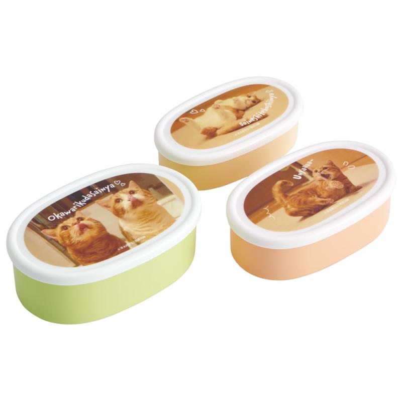スケーター(Skater) 弁当箱 シール容器 保存容器 3個組 茶太郎ときなこ 日本製 860ml SRS3SAG-A