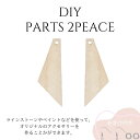 DIY ハンドメイド アクセサリーパーツ 木製2piece 社交ダンスアクセサリー ベリーダンスアクセサリー オリジナルアクセサリーキット【5】