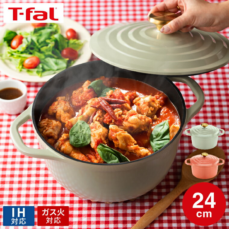 IH対応鍋 【あす楽14時まで対応 】ティファール T-fal キャストライン エアココット IHココット鍋 24cm テラコッタ セージグリーン E26846 E26746 / IH対応 ガス火対応 食洗機対応 両手鍋 鋳物 軽量 アルミキャスト製 煮込み料理 無水料理 オーブン調理 炊飯 4～6人用 t-fal