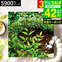 お中元 夏ギフト 送料無料 カタログギフト リンベル リンベル 婦人画報 百花(ひゃっか) / 内祝い 出産内祝い 結婚内祝い お祝い お返し 内祝い 返礼品 ...