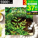 お中元 夏ギフト 送料無料 カタログギフト リンベル リンベル 婦人画報 百花(ひゃっか) / 内祝い 出産内祝い 結婚内祝い お祝い お返し 内祝い 返礼品 引出物 結婚引出物 記念品 ギフトカタログ 食べ物 写真入り メッセージカード無料 プレゼント gws 御中元