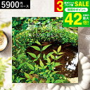 お中元 夏ギフト 送料無料 カタログギフト リンベル リンベル 婦人画報 百花(ひゃっか) / 内祝い 出産内祝い 結婚内祝い お祝い お返し 内祝い 返礼品 引出物 結婚引出物 記念品 ギフトカタログ 食べ物 写真入り メッセージカード無料 プレゼント gws 御中元
