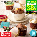 銀座千疋屋 銀座ショコラアイス 10個 PGS-274 メーカー直送 ギフト スイーツ 内祝い お菓子 出産内祝い 結婚内祝い お返し 贈答品 JGS 食べ物 御中元 銀座千疋屋アイス 銀座千疋屋ギフト 送料無料 敬老の日ギフト お中元 夏ギフト 残暑見舞い