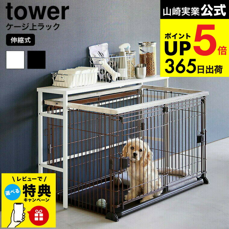 ڥӥ塼ŵ[ ̥ڥåȥå  ] ¶  tower 4086 4087 ۥ磻 ֥å / ڥå Ǽ ŷ ̼...
