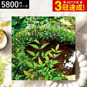 カタログギフト リンベル 婦人画報 百花(ひゃっか) / 内祝い 出産内祝い 結婚内祝い お祝い お返し 内祝い 返礼品 引出物 結婚引出物 記念品 ギフトカタログ 食べ物 写真入り メッセージカード無料 プレゼント gws 送料無料 敬老の日ギフト お中元 夏ギフト