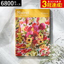4年連続ギフト大賞 カタログギフト 内祝い 選べるギフト Mistral(ミストラル) <プルメリア> 6800円コース / 出産内祝い 内祝い 引き出物 結婚内祝い 引出物 内祝 ギフト 引越し お返し お祝い グルメ 食べ物 贈答品 プレゼント gws dej 敬老の日ギフト お中元 夏ギフト