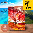 【あす楽14時まで対応 ※日・祝除く】カタログギフト旅行 jtb 結婚祝い 旅行券 送料無料 JTBたびもの撰華 楓 かえで 体験型カタログ（旅 体験 グルメ 雑貨 ）/高級 お祝い 内祝いお返し 還暦祝い 記念日 引出物 結婚内祝い 写真入り メッセージカード無料 母の日