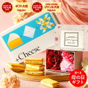 (お菓子+バスフラワーボックス セット) 母の日ギフト2025 プラスチーズ +Cheese それはおいしい方程式!ソムリエアットギフト 送料無料 / 手土産 ...