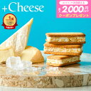 ＼4/20は抽選で100％Pバック／【エントリーで次回使える最大2000円クーポン配布】+Cheese プラスチーズ それはおいしい方程式！ （包装済、のしは外のし） / お菓子 ギフト チーズサンド ガレット タルト クッキー スイーツ 寿製菓 個包装 焼き菓子 手土産 内祝い 母の日