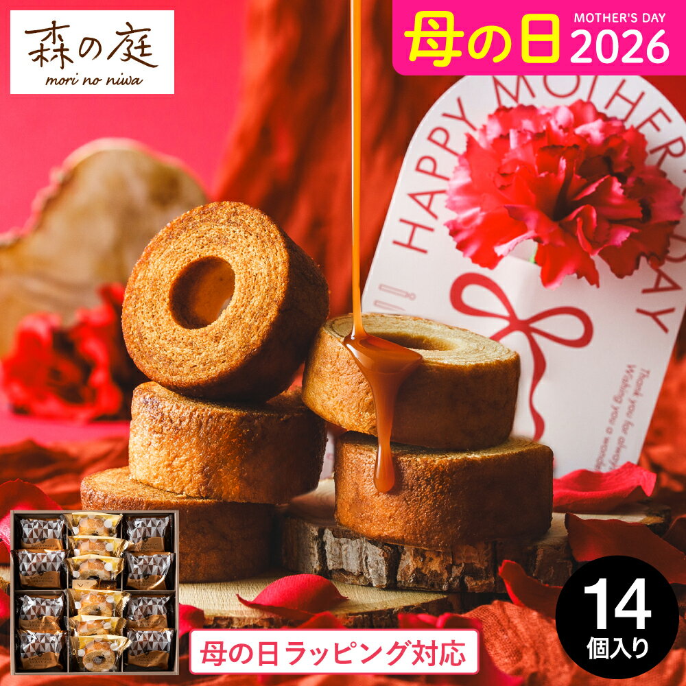 母の日 お菓子 ギフト 内祝い バウ�